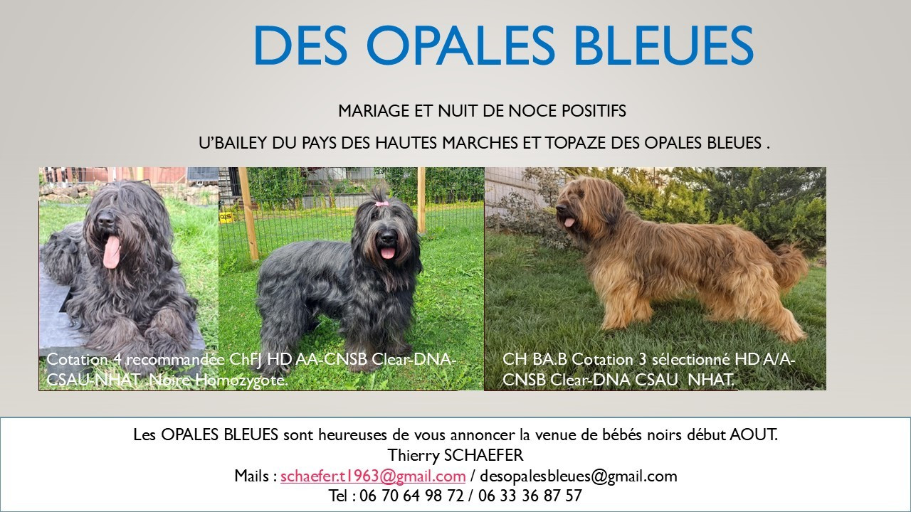 Saillie U'BAILEY Du Pays des Hautes Marches et Topaze des Opales Bleues